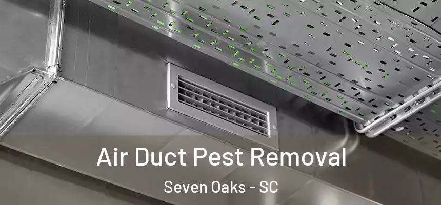  Air Duct Pest Removal Seven Oaks - SC