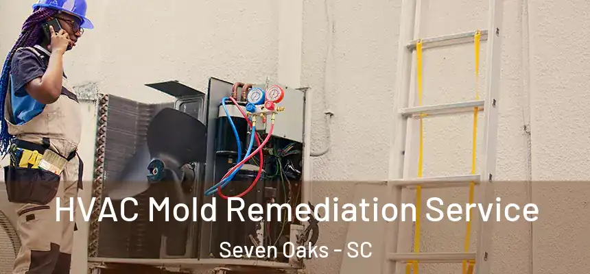  HVAC Mold Remediation Service Seven Oaks - SC