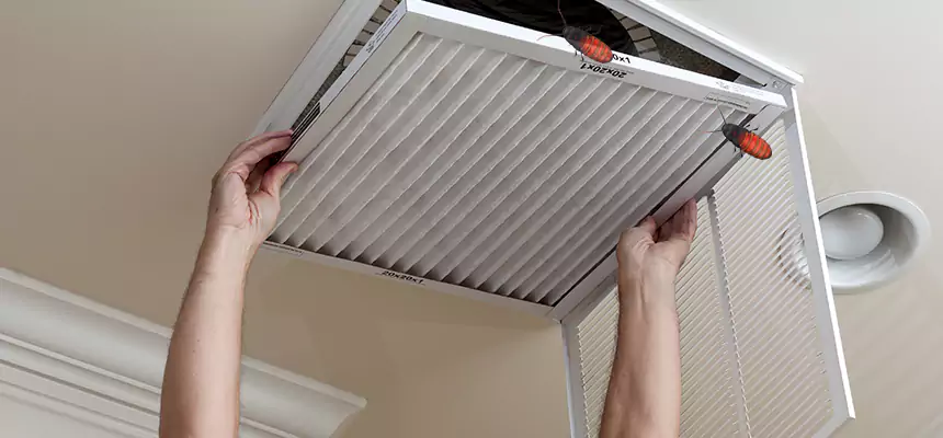 Our Insect Removal from Air Ducts Services in Seven Oaks, SC