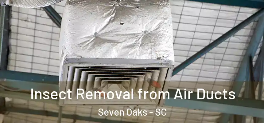  Insect Removal from Air Ducts Seven Oaks - SC