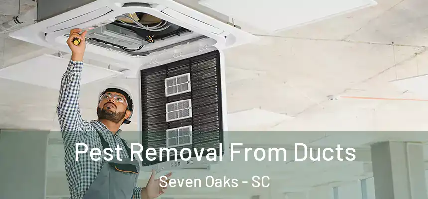  Pest Removal From Ducts Seven Oaks - SC