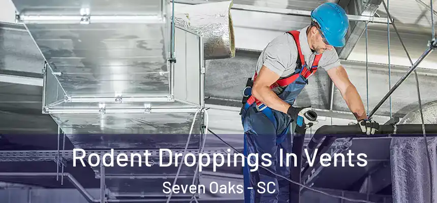 Rodent Droppings In Vents Seven Oaks - SC