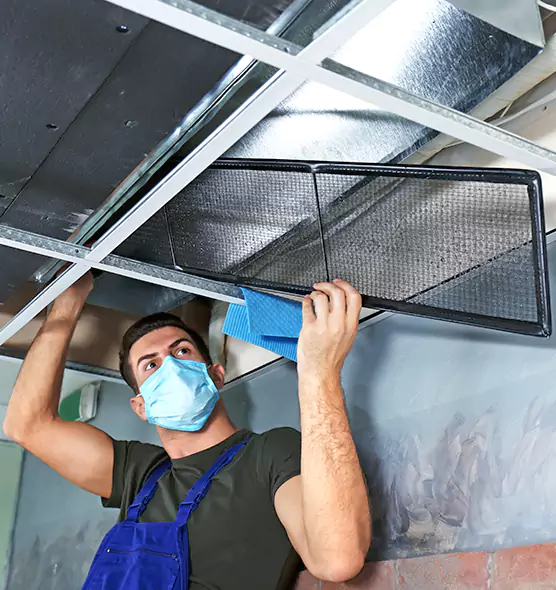 About Air Duct Bacteria Removal in Seven Oaks