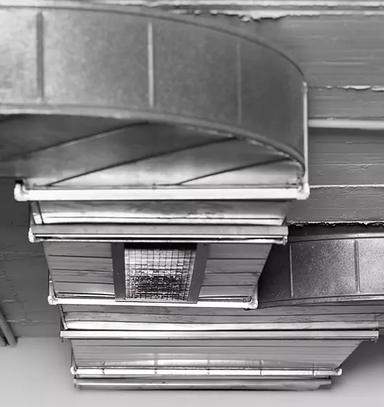 Professional Air Duct Pet Hair Removal in Seven Oaks, SC