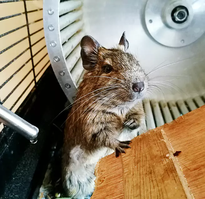 Why Homeowners & Businesses Trust Us Seven Oaks, SC