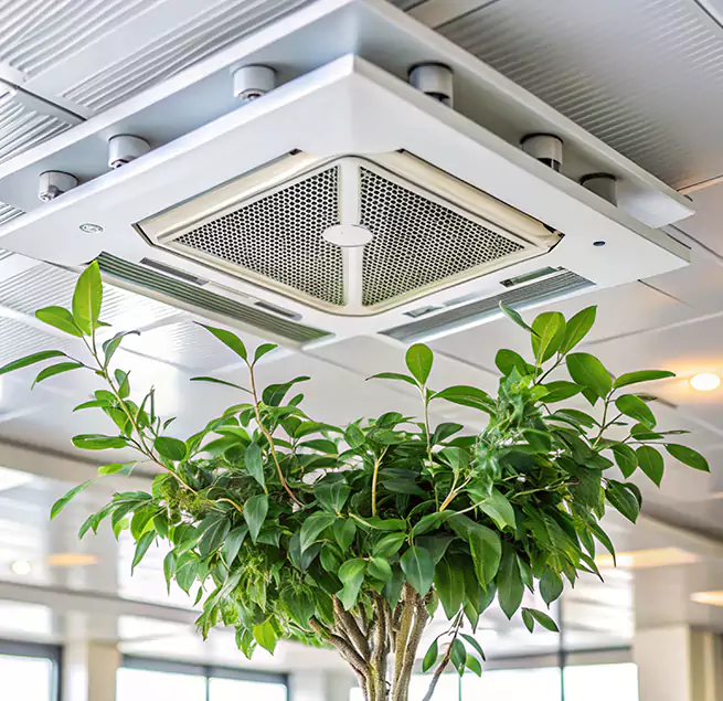 Why Homeowners & Businesses Trust Us in Seven Oaks, SC