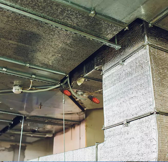 Why Homeowners & Businesses Trust Us Seven Oaks, SC?